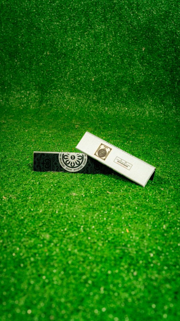 Fotos CrewAtiva 01-26-263_Easy-Resize.com Sedas CrewAtiva